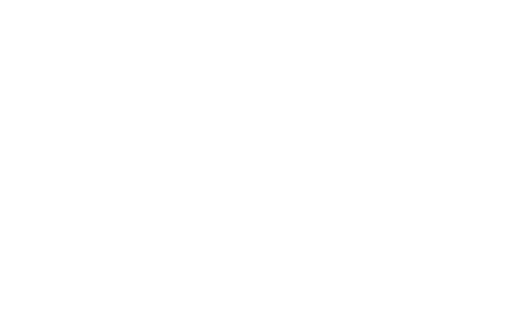 badwolf_brandmark_white